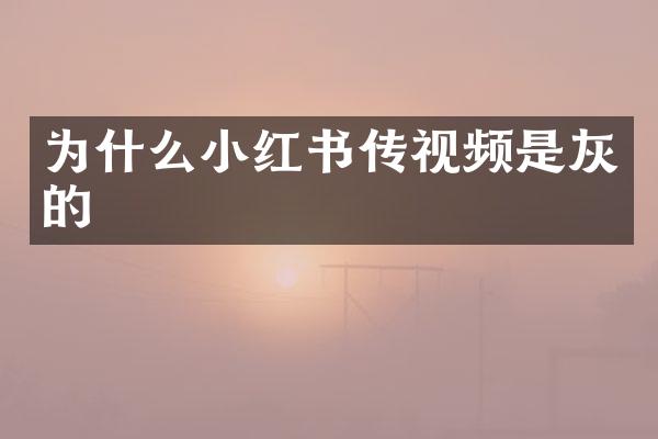 为什么小红书传视频是灰的
