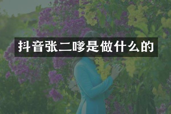 抖音张二嗲是做什么的