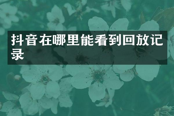 抖音在哪里能看到回放记录