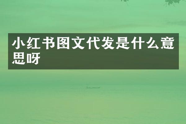 小红书图文代发是什么意思呀