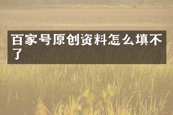 百家号原创资料怎么填不了