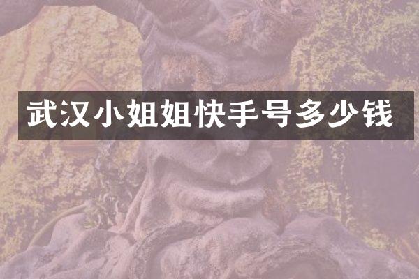 武汉小姐姐快手号多少钱