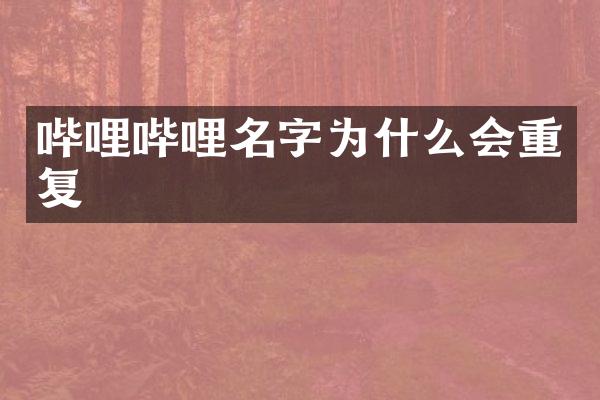 哔哩哔哩名字为什么会重复