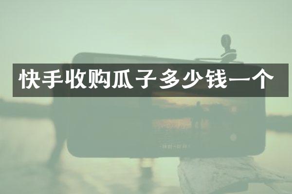 快手收购瓜子多少钱一个