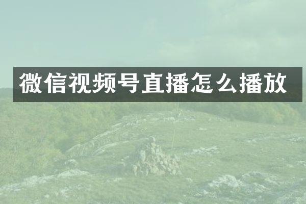 微信视频号直播怎么播放