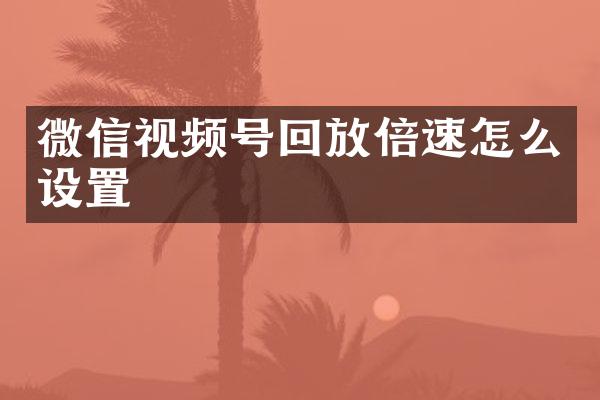 微信视频号回放倍速怎么设置