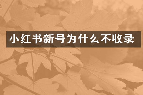 小红书新号为什么不收录
