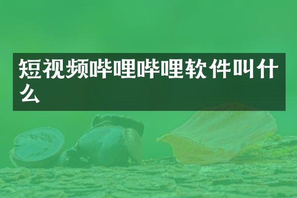 短视频哔哩哔哩软件叫什么