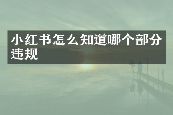 小红书怎么知道哪个部分违规