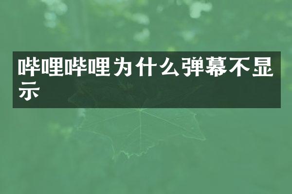 哔哩哔哩为什么弹幕不显示