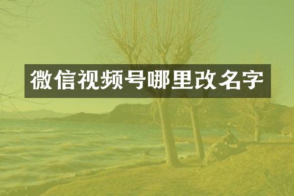 微信视频号哪里改名字