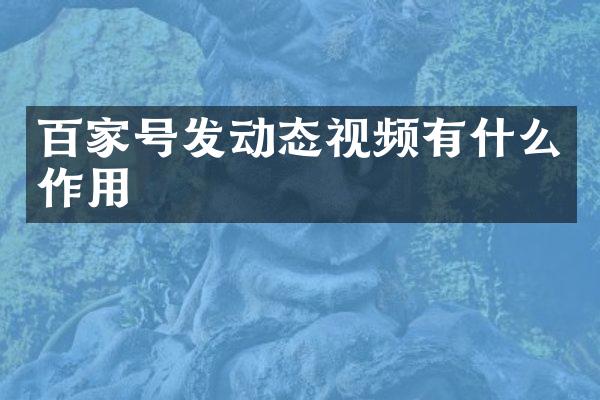 百家号发动态视频有什么作用