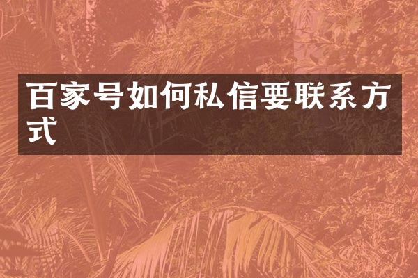百家号如何私信要联系方式