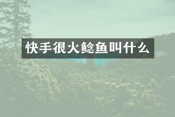 快手很火鲶鱼叫什么