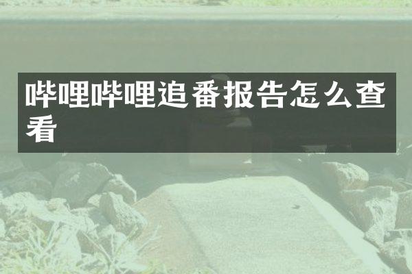 哔哩哔哩追番报告怎么查看