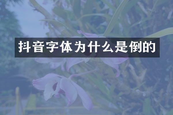 抖音字体为什么是倒的