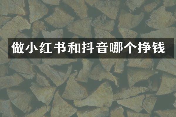 做小红书和抖音哪个挣钱