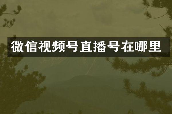 微信视频号直播号在哪里
