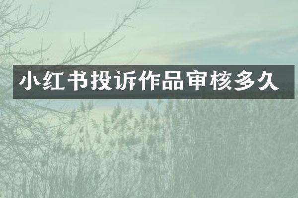 小红书投诉作品审核多久