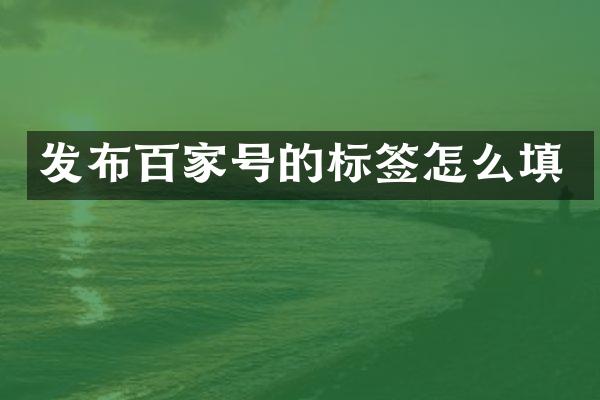 发布百家号的标签怎么填