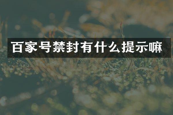百家号禁封有什么提示嘛