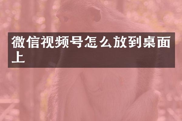 微信视频号怎么放到桌面上