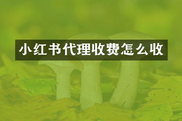 小红书代理收费怎么收