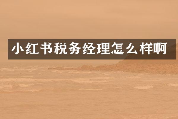小红书税务经理怎么样啊