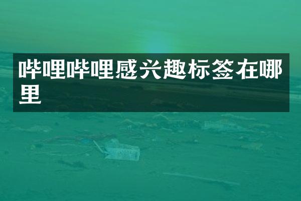 哔哩哔哩感兴趣标签在哪里