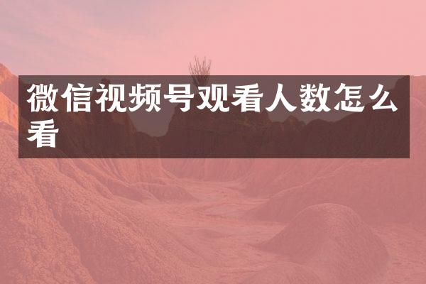 微信视频号观看人数怎么看