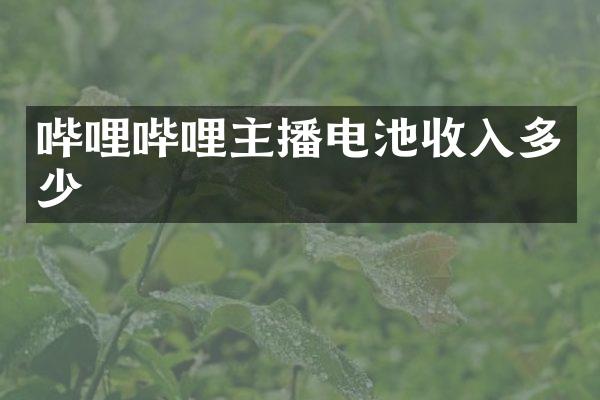 哔哩哔哩主播电池收入多少