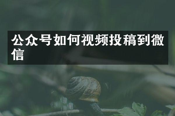 公众号如何视频投稿到微信