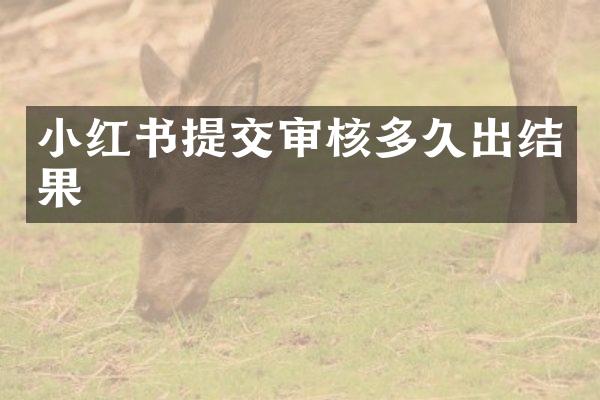 小红书提交审核多久出结果