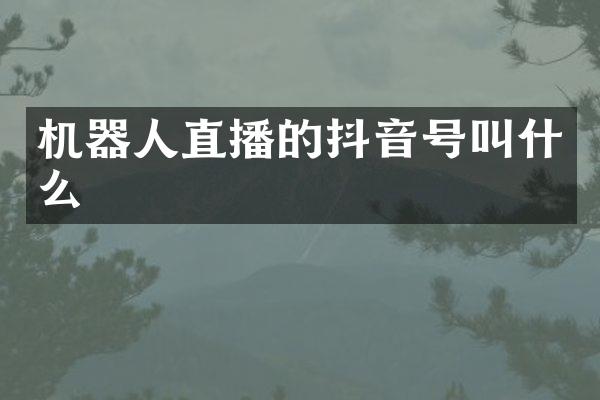 机器人直播的抖音号叫什么