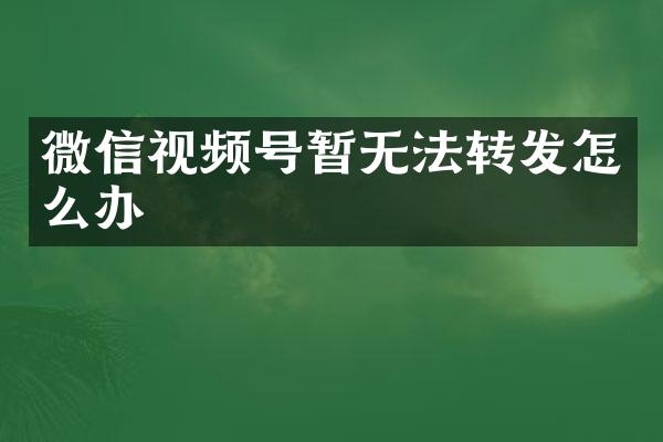 微信视频号暂无法转发怎么办