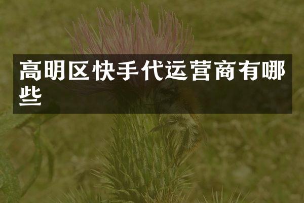 高明区快手代运营商有哪些