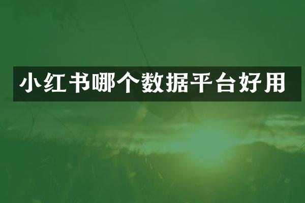 小红书哪个数据平台好用