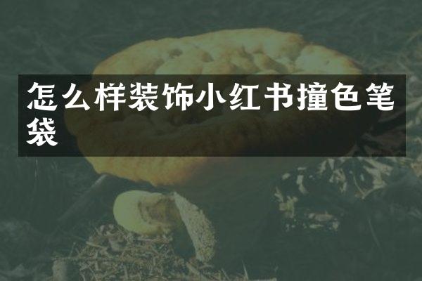 怎么样装饰小红书撞色笔袋