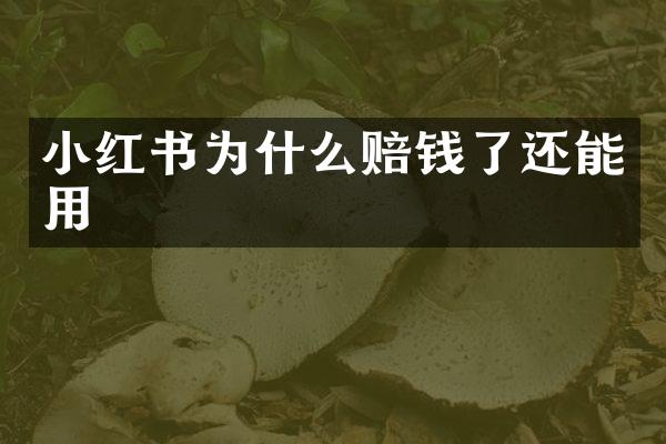 小红书为什么赔钱了还能用