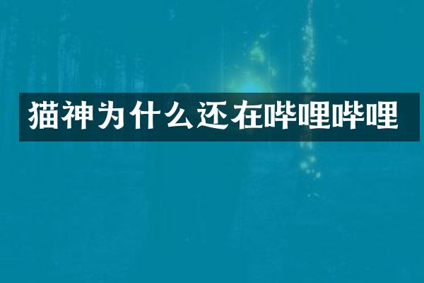 猫神为什么还在哔哩哔哩