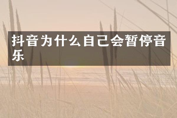 抖音为什么自己会暂停音乐