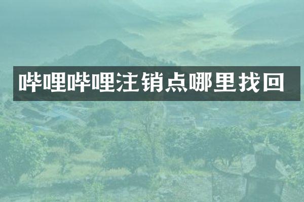 哔哩哔哩注销点哪里找回