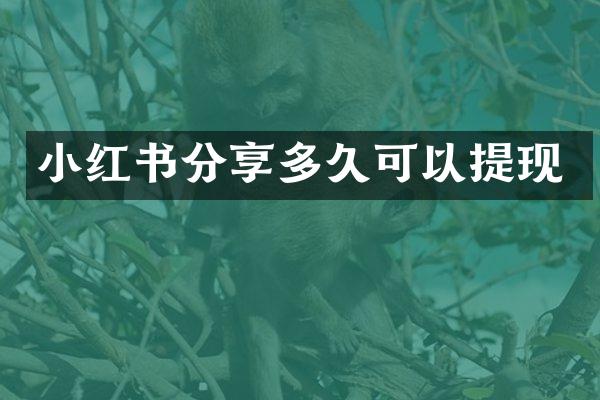 小红书分享多久可以提现