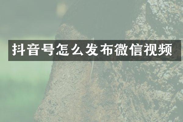 抖音号怎么发布微信视频