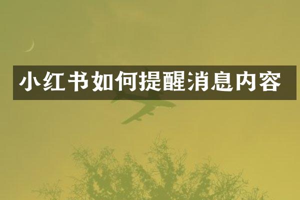 小红书如何提醒消息内容