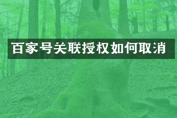 百家号关联授权如何取消