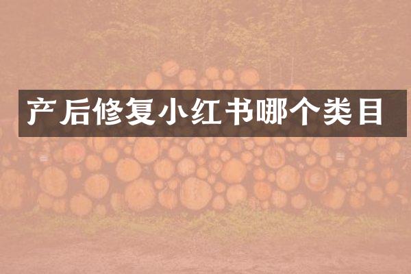 产后修复小红书哪个类目