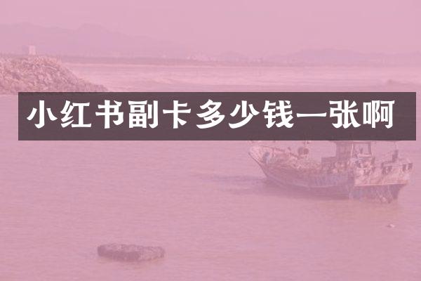 小红书副卡多少钱一张啊