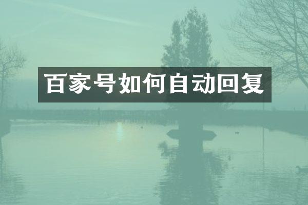 百家号如何自动回复