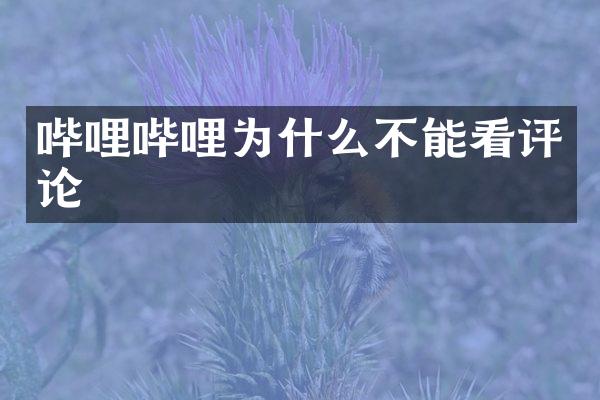哔哩哔哩为什么不能看评论